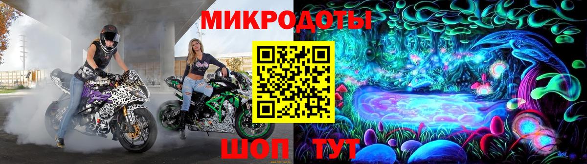 Галлюциногенные грибы Psilocybine cubensis  Псилоцибиновые грибы прущие грибы  Пушкино  Вход с VPN 
